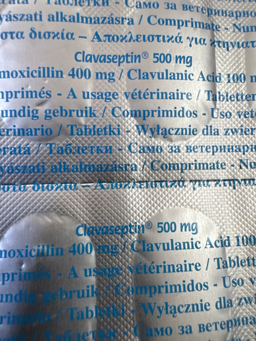 Clavaseptin 500