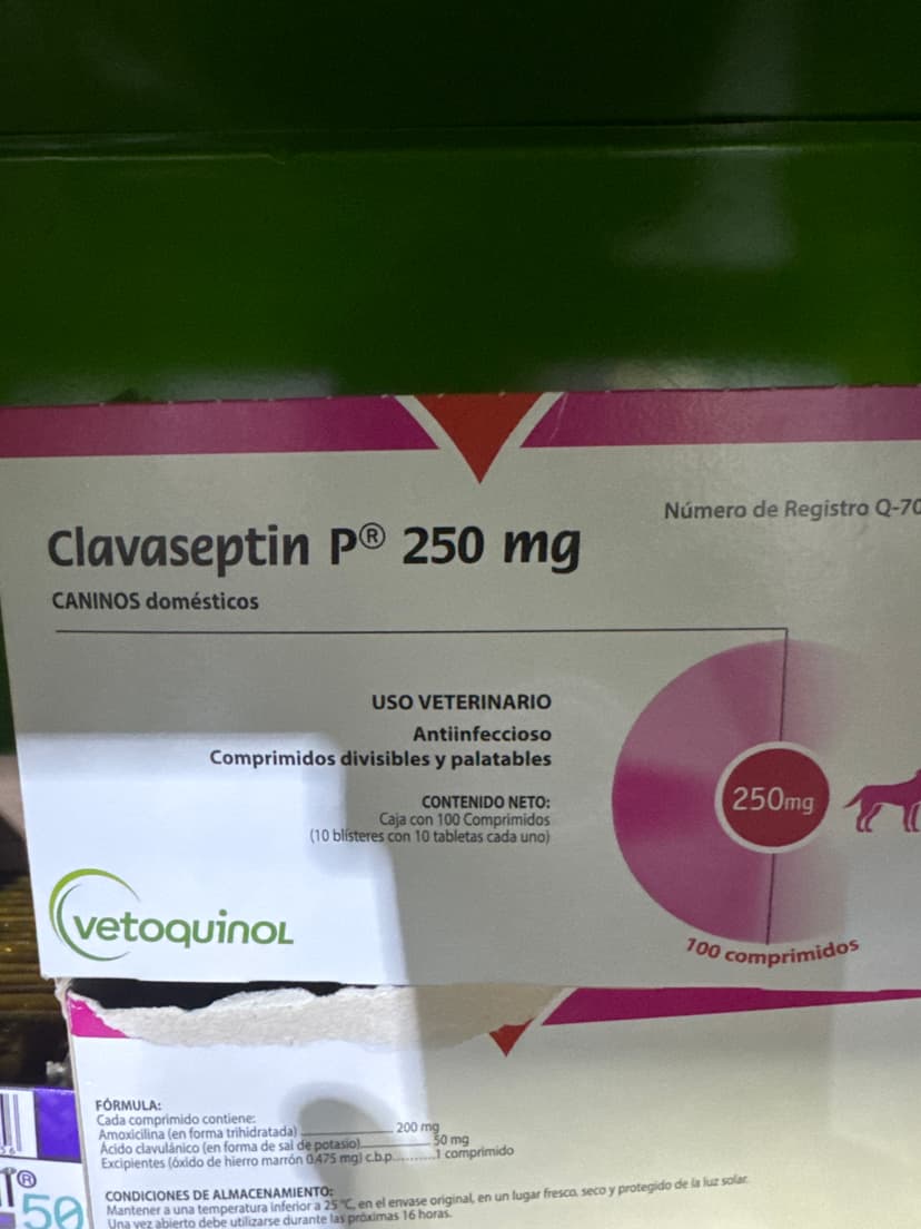 CLAVASEPTIN 250 MG